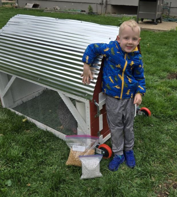 Picture of three hens coming out a door.  